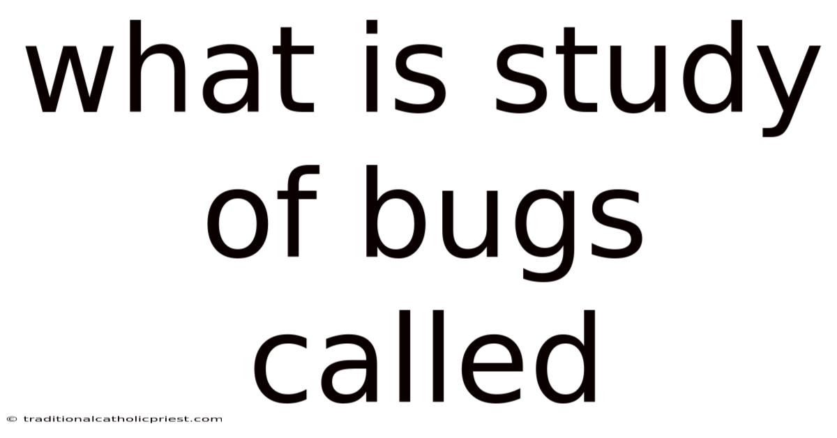 What Is Study Of Bugs Called