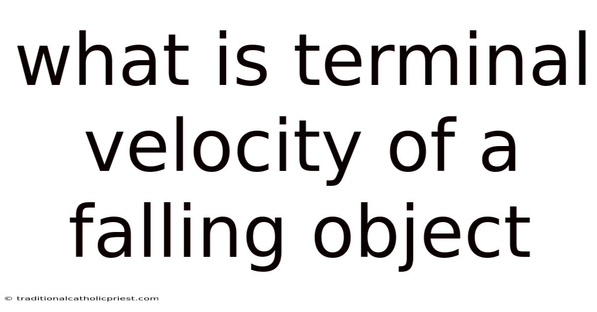 What Is Terminal Velocity Of A Falling Object