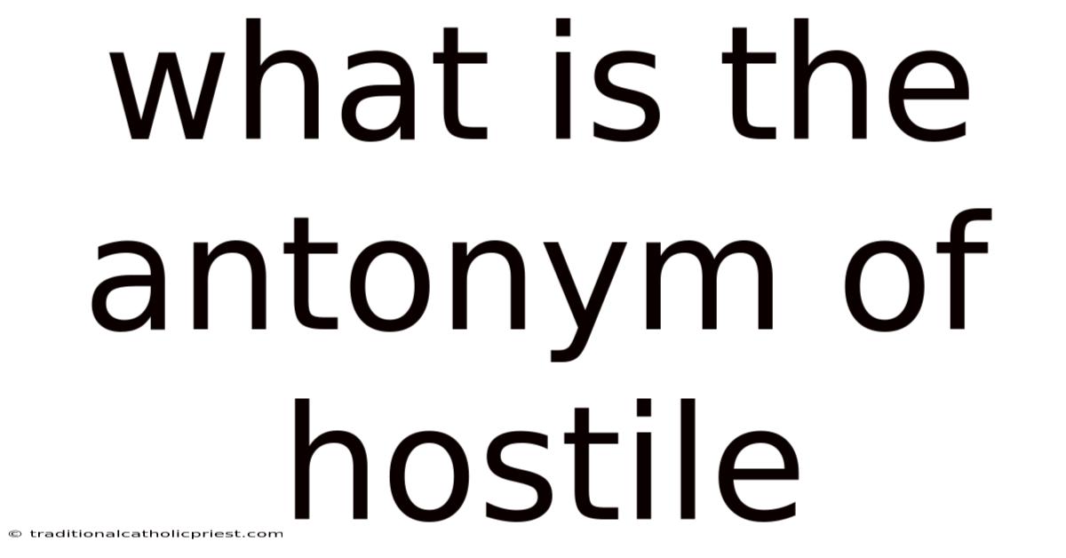 What Is The Antonym Of Hostile