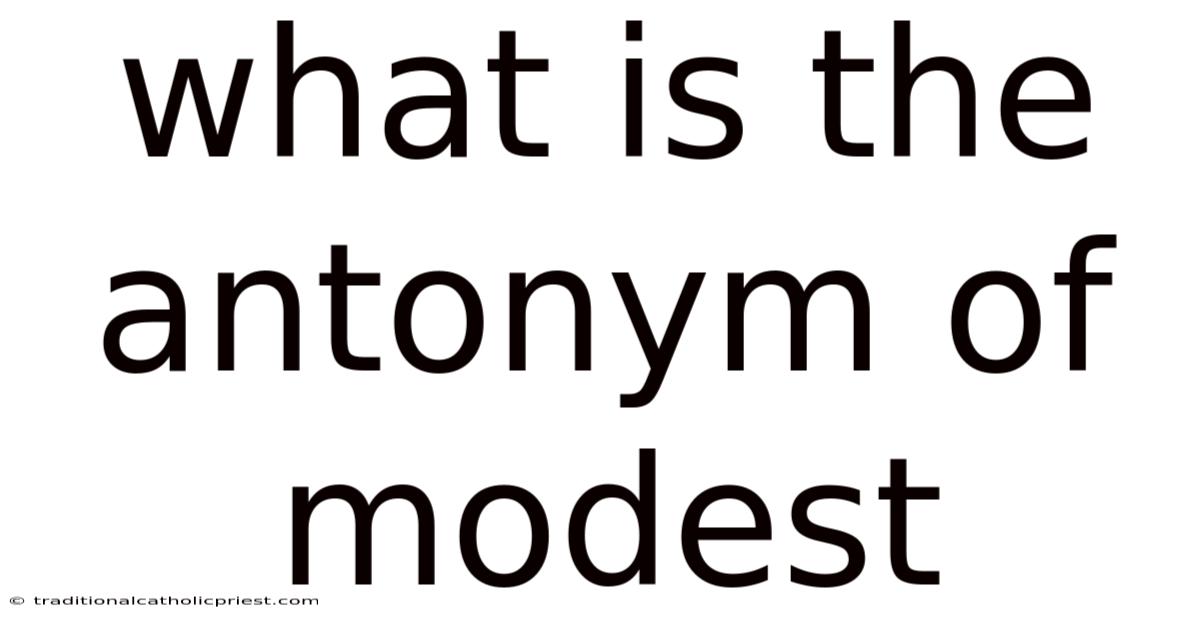 What Is The Antonym Of Modest