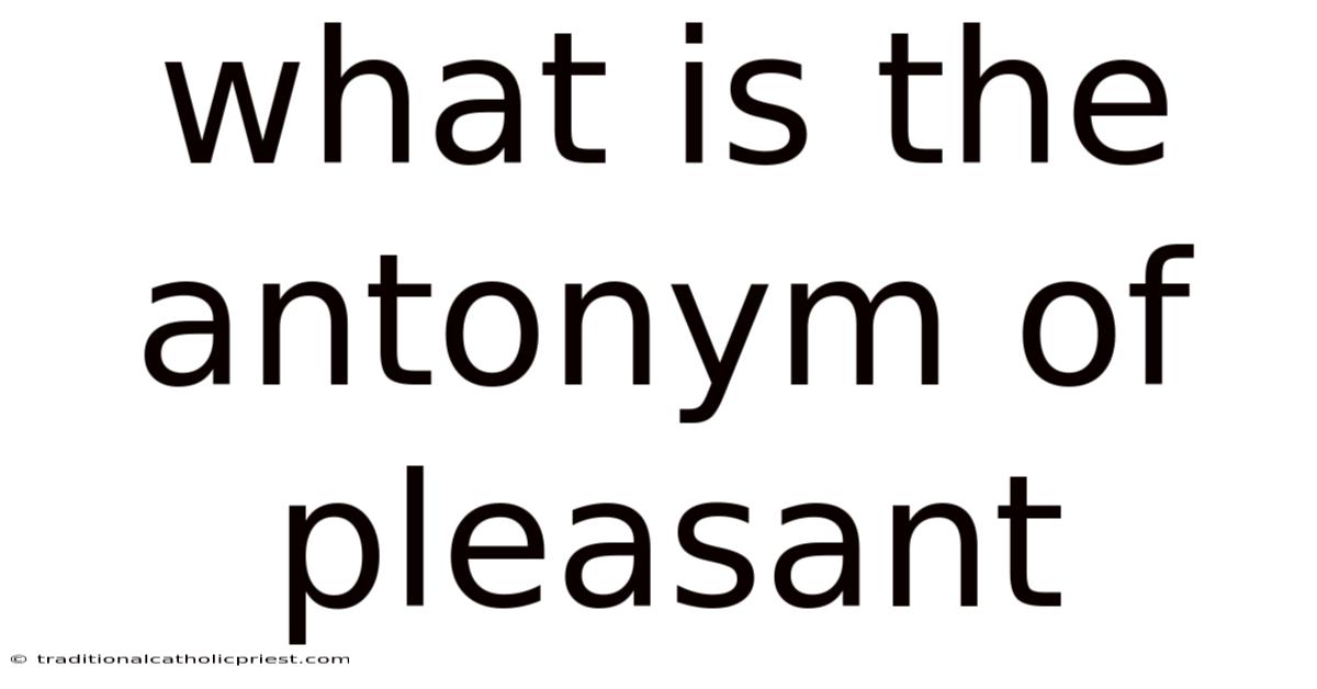 What Is The Antonym Of Pleasant