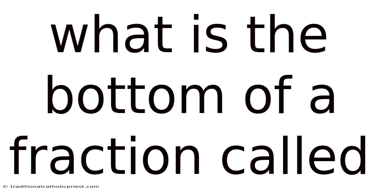 What Is The Bottom Of A Fraction Called