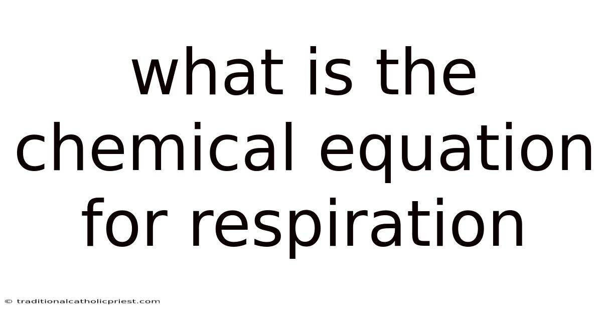 What Is The Chemical Equation For Respiration