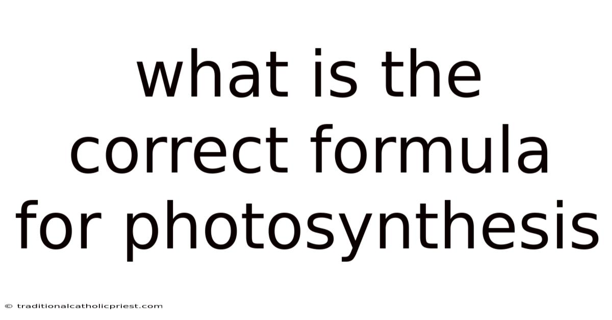 What Is The Correct Formula For Photosynthesis