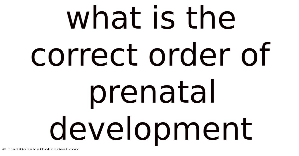 What Is The Correct Order Of Prenatal Development