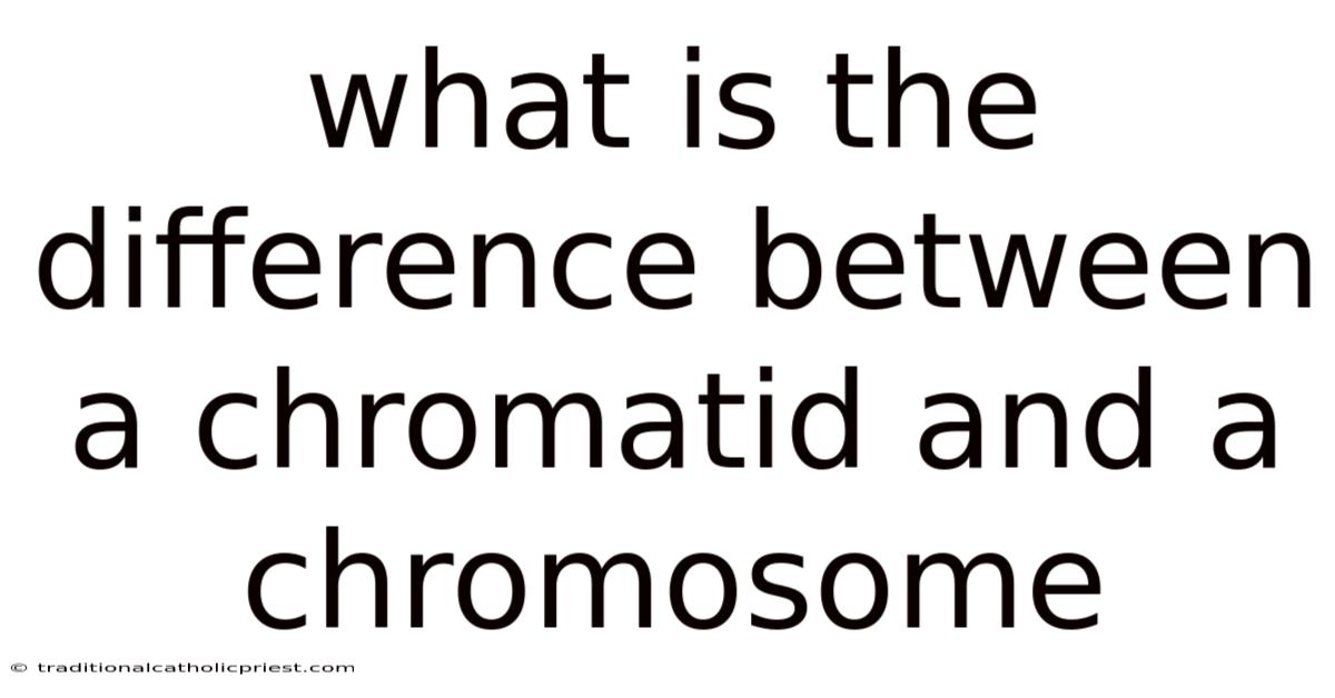 What Is The Difference Between A Chromatid And A Chromosome