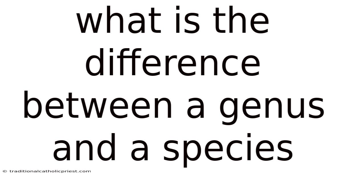 What Is The Difference Between A Genus And A Species