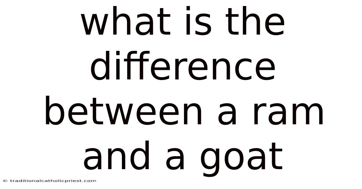 What Is The Difference Between A Ram And A Goat