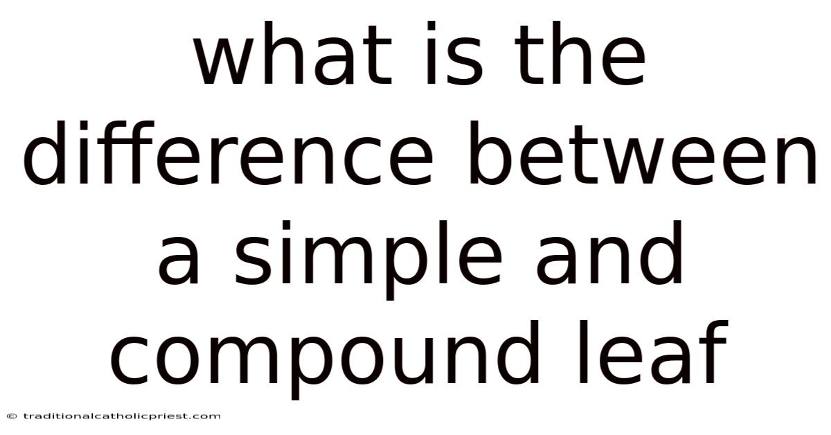 What Is The Difference Between A Simple And Compound Leaf