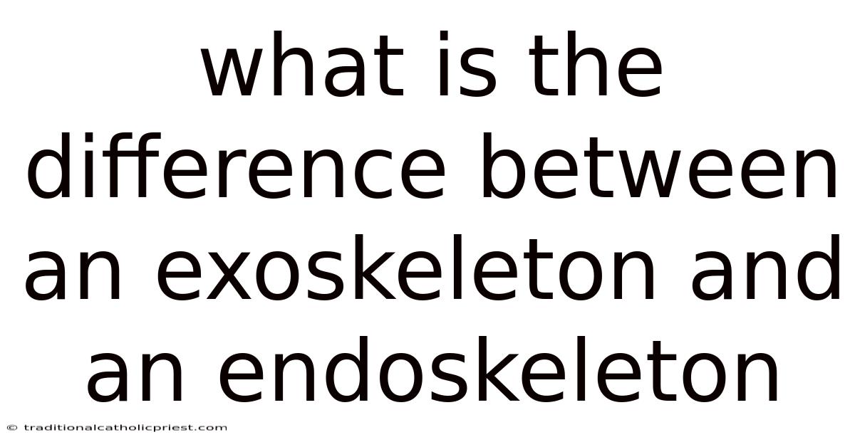What Is The Difference Between An Exoskeleton And An Endoskeleton