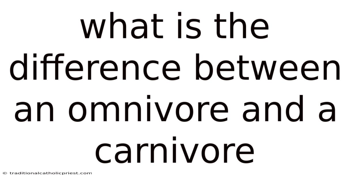 What Is The Difference Between An Omnivore And A Carnivore