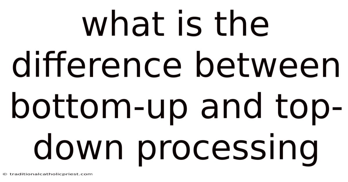 What Is The Difference Between Bottom-up And Top-down Processing