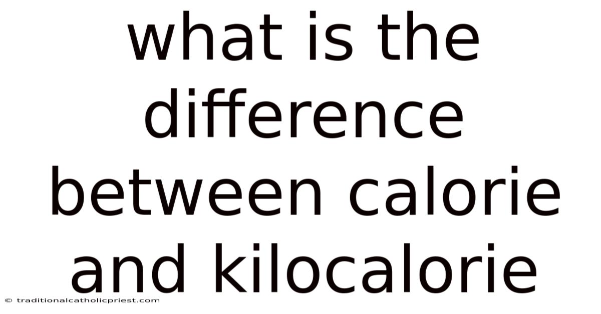 What Is The Difference Between Calorie And Kilocalorie