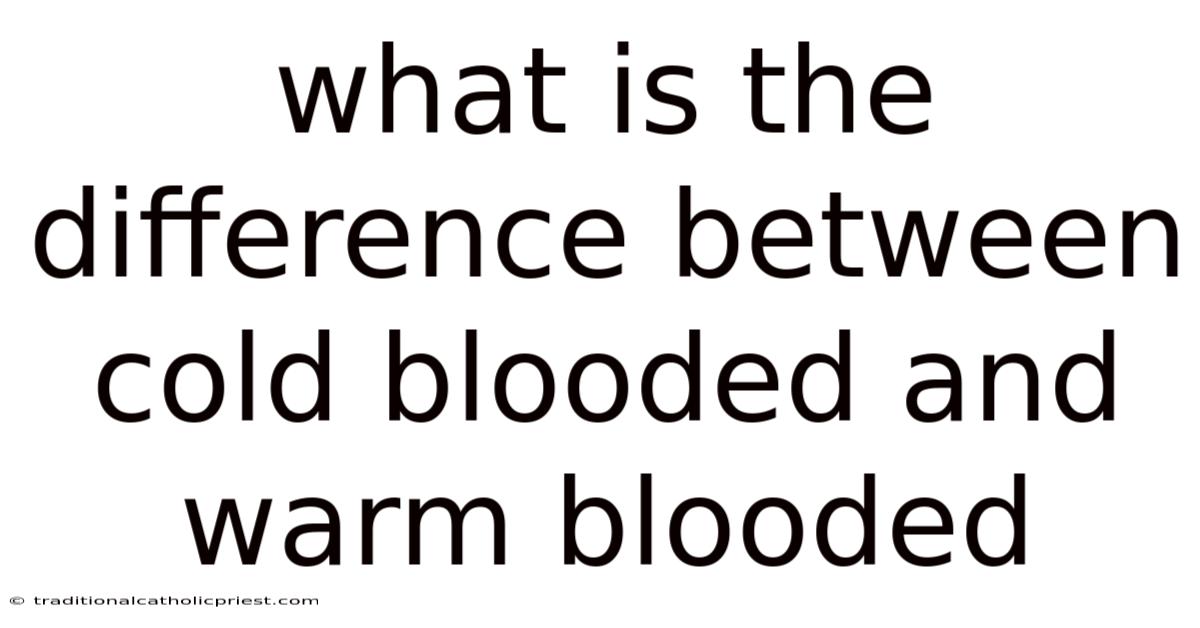 What Is The Difference Between Cold Blooded And Warm Blooded