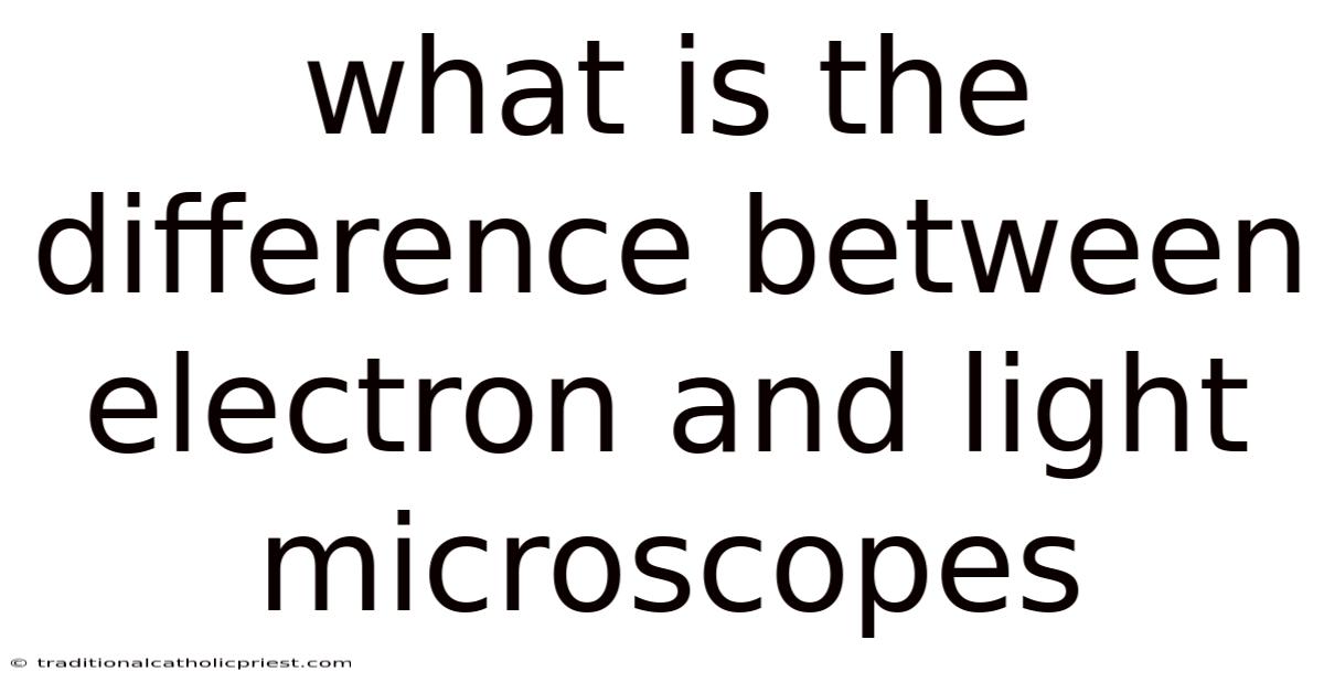 What Is The Difference Between Electron And Light Microscopes