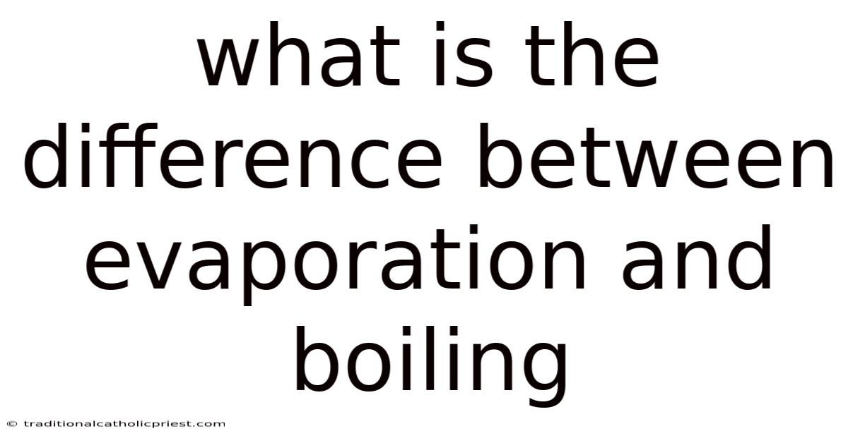What Is The Difference Between Evaporation And Boiling