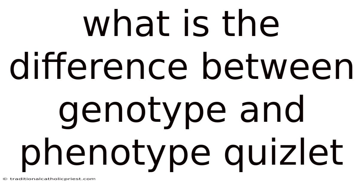 What Is The Difference Between Genotype And Phenotype Quizlet