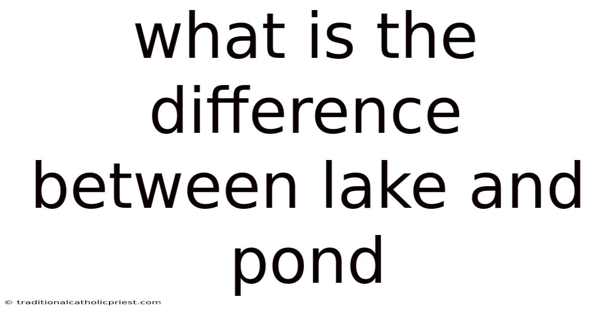 What Is The Difference Between Lake And Pond
