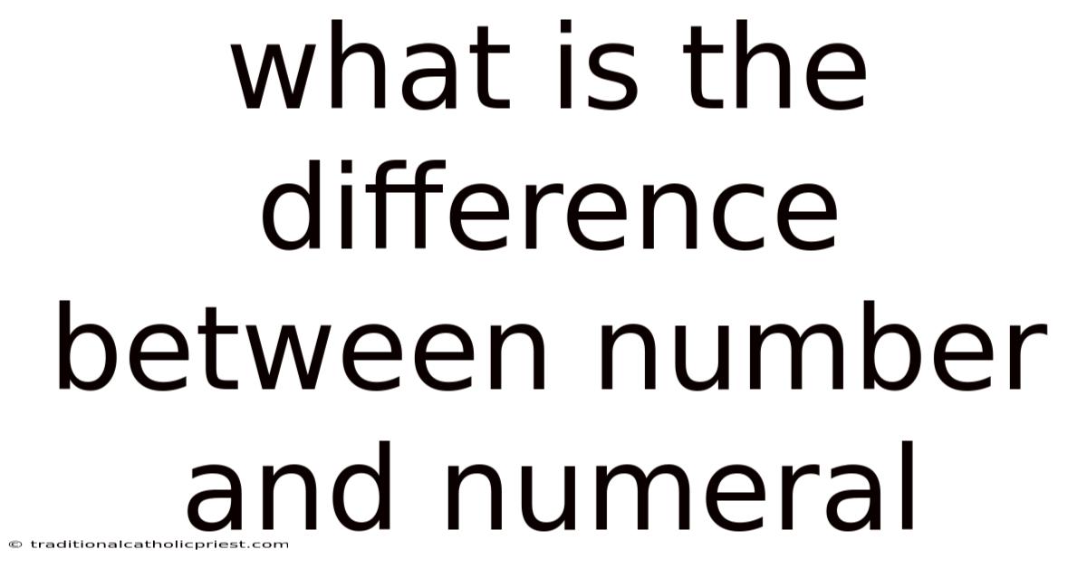 What Is The Difference Between Number And Numeral