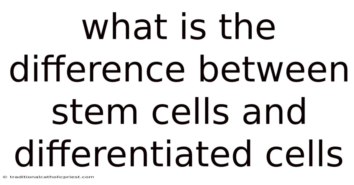 What Is The Difference Between Stem Cells And Differentiated Cells