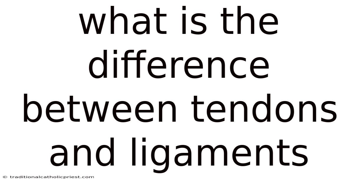 What Is The Difference Between Tendons And Ligaments