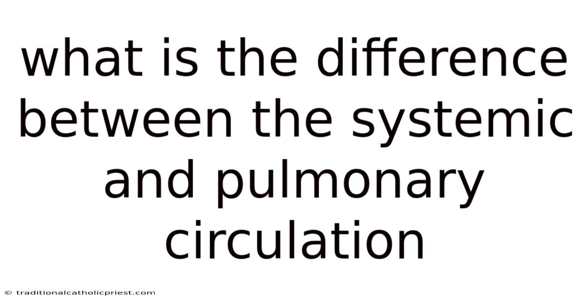What Is The Difference Between The Systemic And Pulmonary Circulation