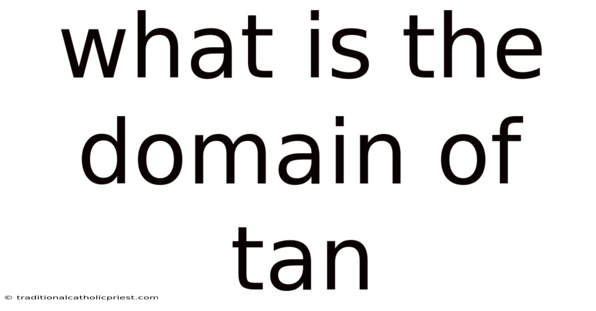 What Is The Domain Of Tan