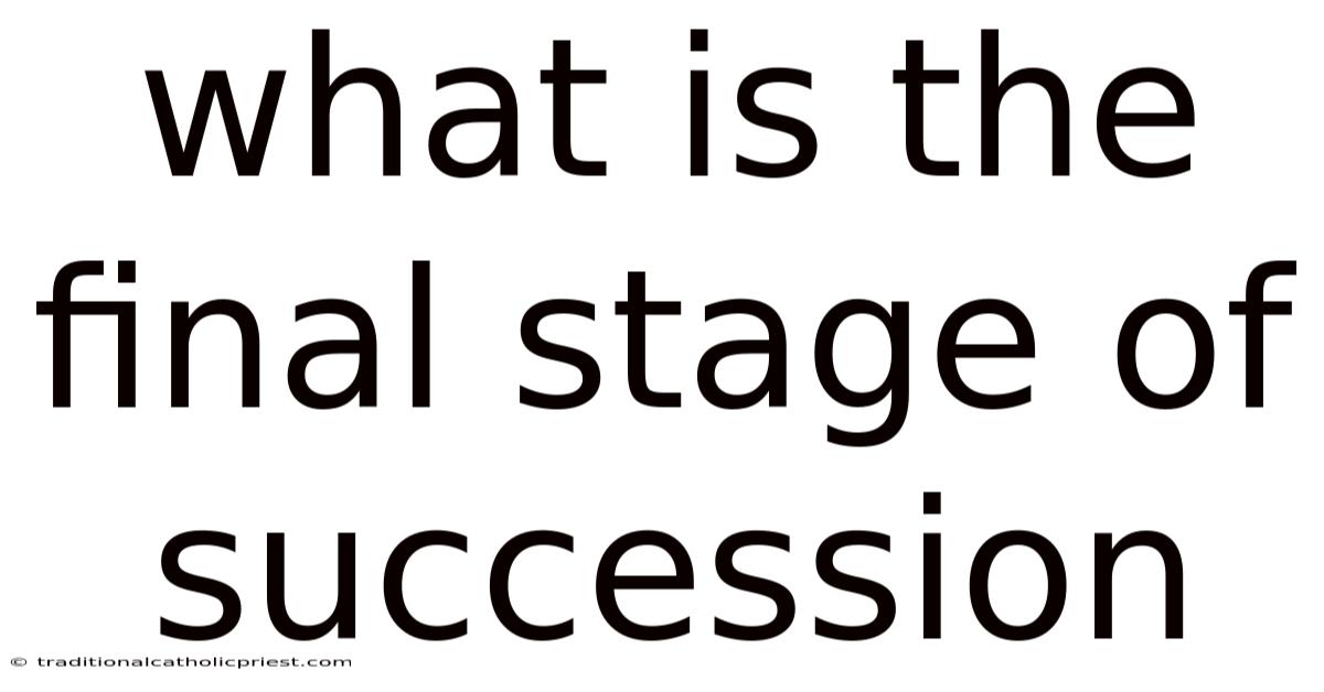 What Is The Final Stage Of Succession