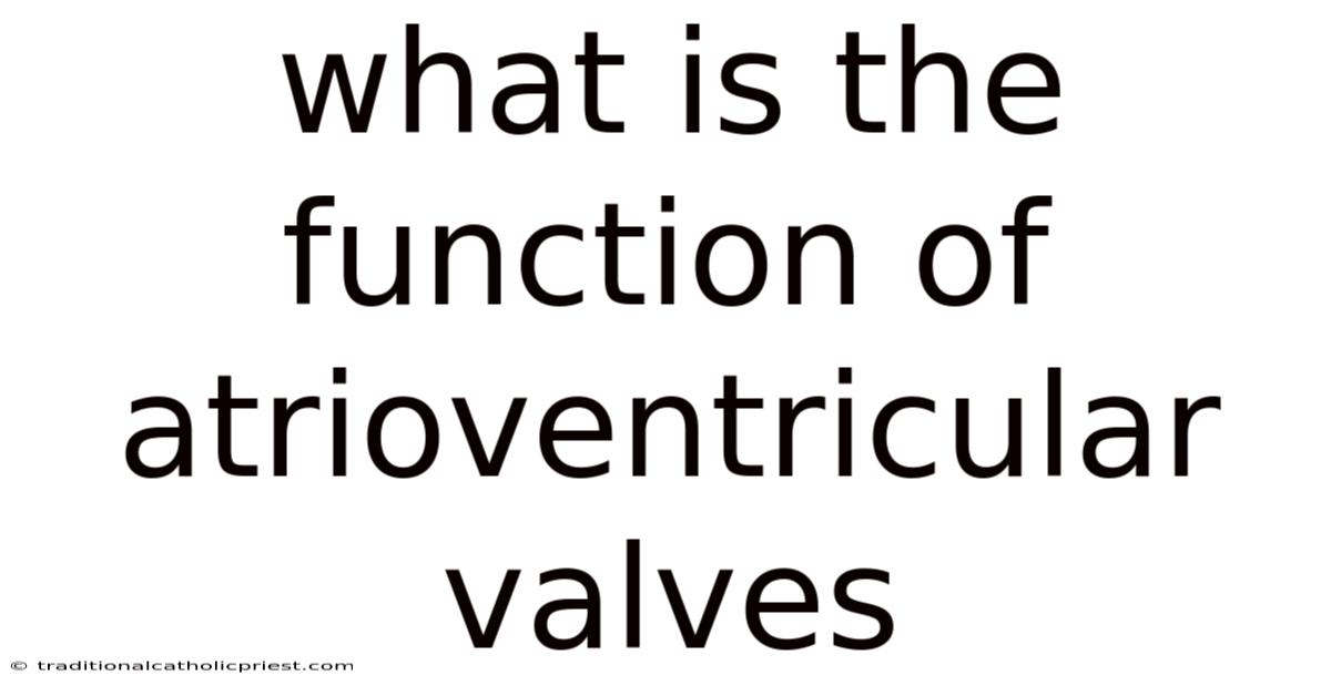 What Is The Function Of Atrioventricular Valves