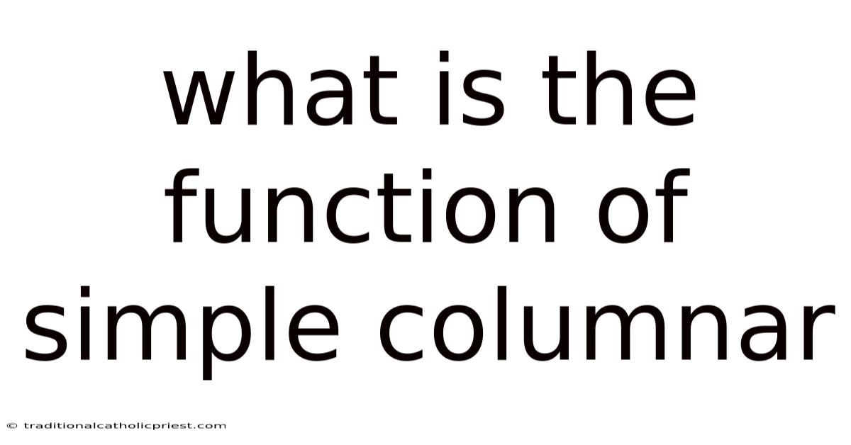 What Is The Function Of Simple Columnar