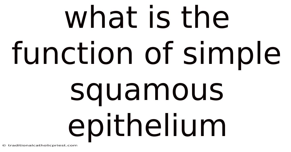 What Is The Function Of Simple Squamous Epithelium