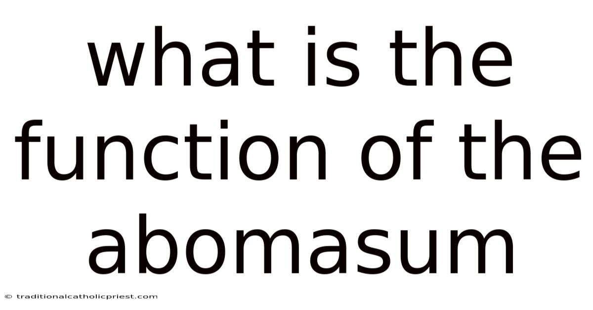 What Is The Function Of The Abomasum