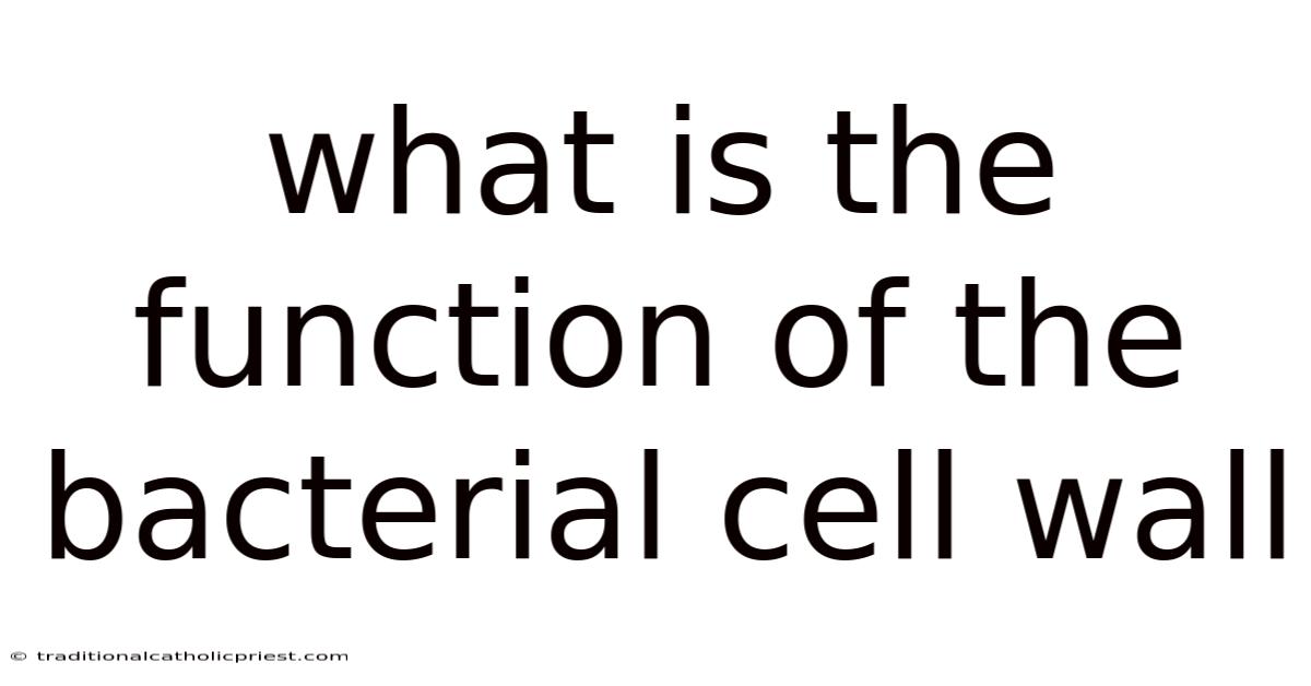 What Is The Function Of The Bacterial Cell Wall