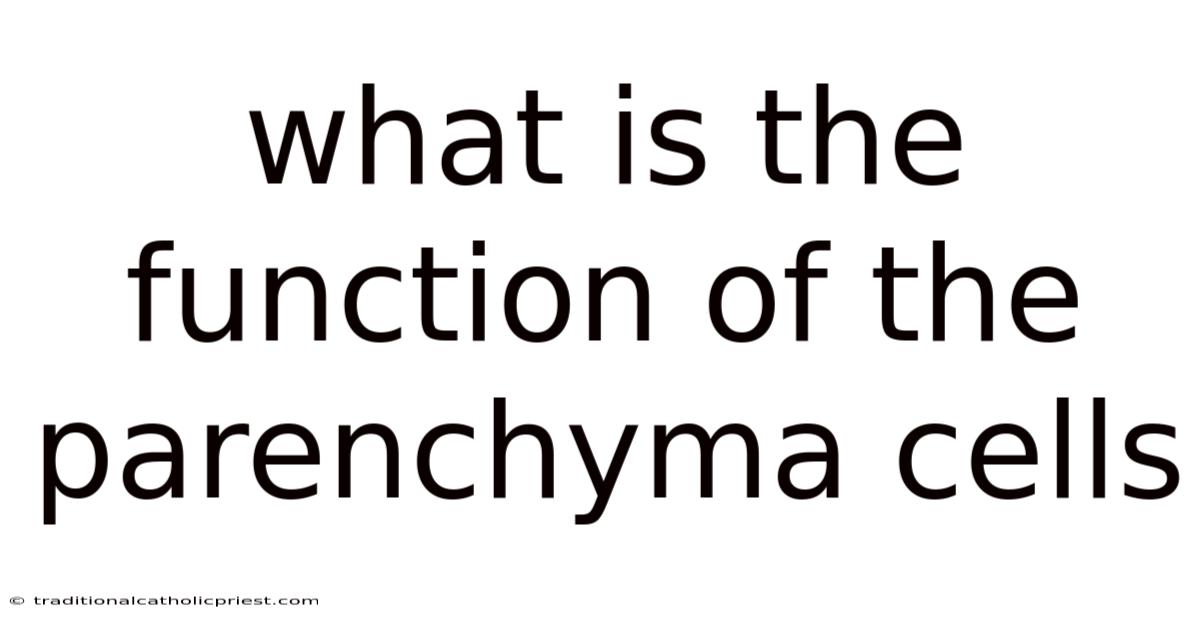 What Is The Function Of The Parenchyma Cells