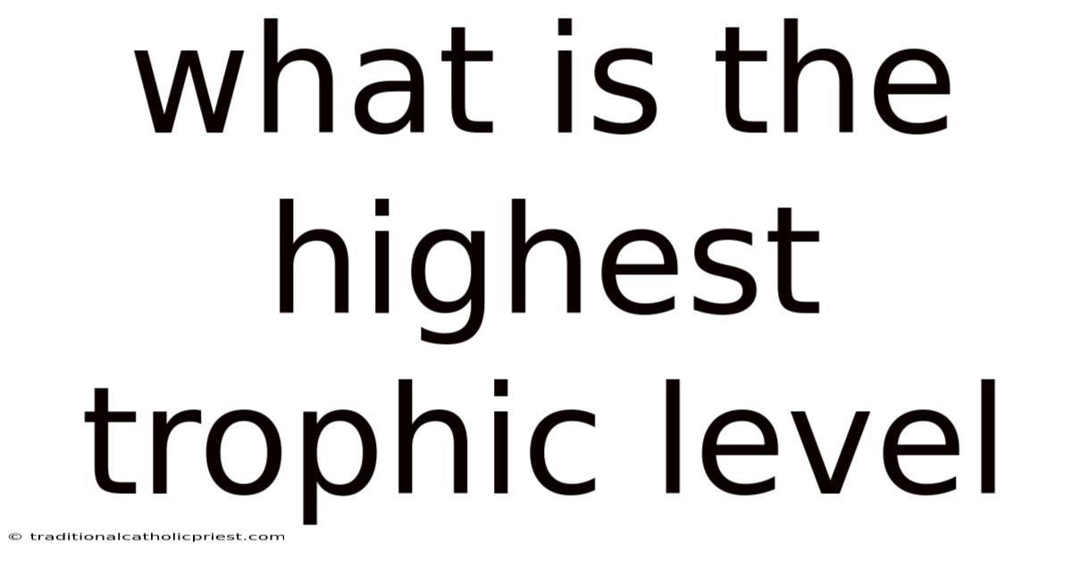 What Is The Highest Trophic Level