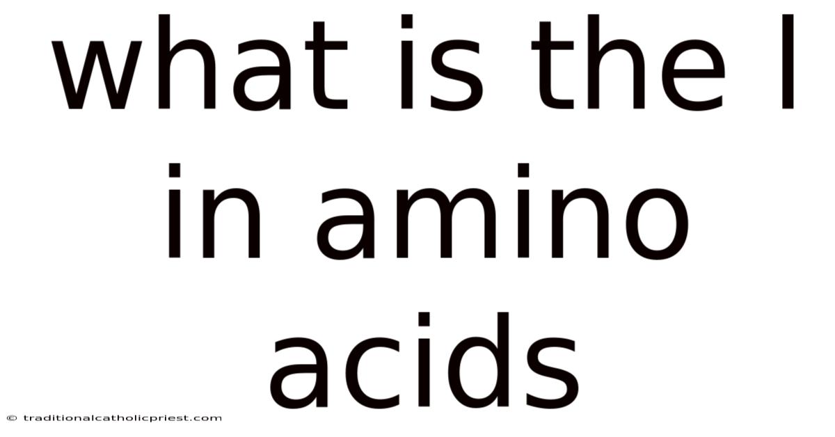 What Is The L In Amino Acids
