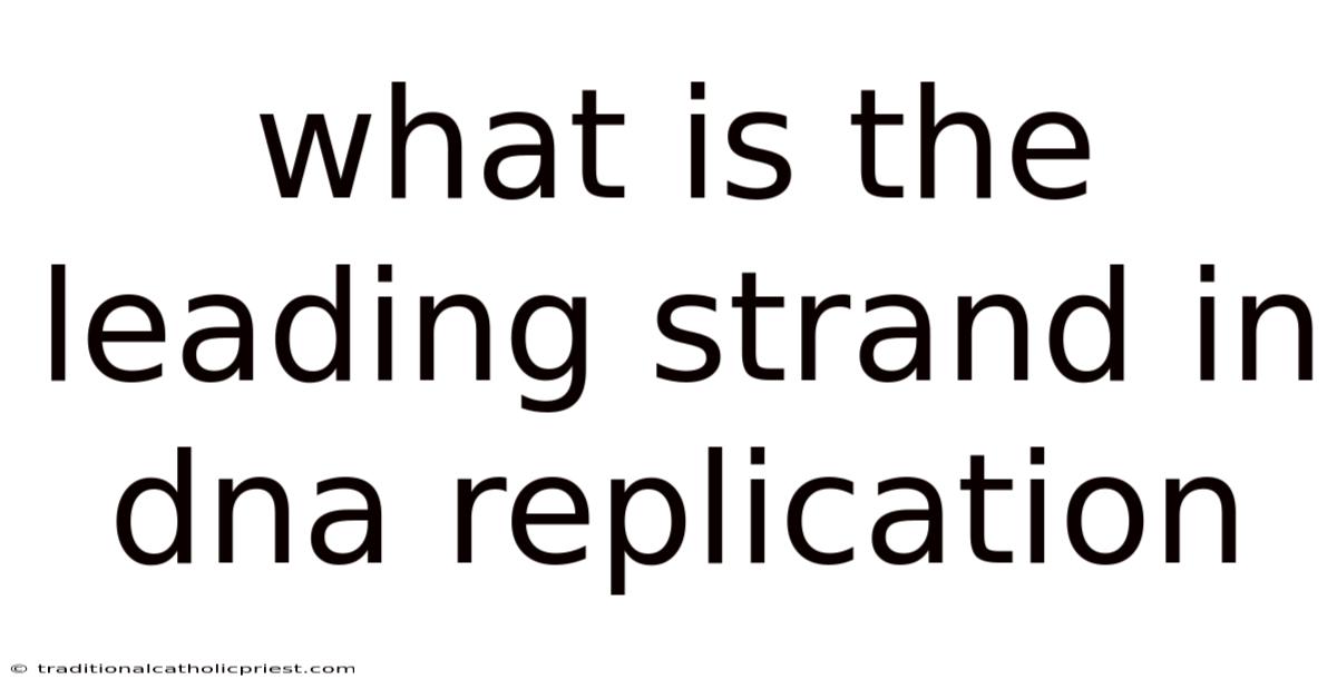What Is The Leading Strand In Dna Replication