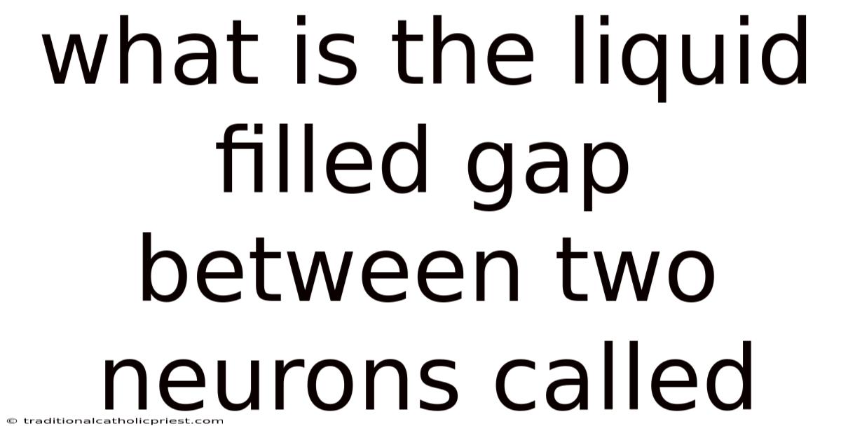 What Is The Liquid Filled Gap Between Two Neurons Called