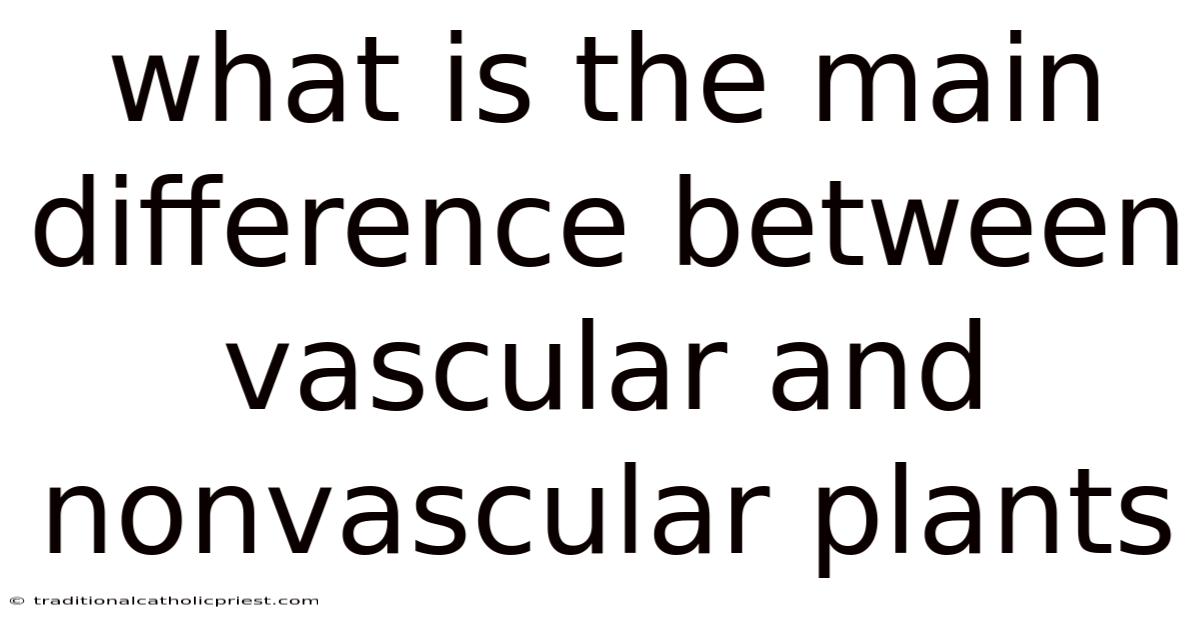 What Is The Main Difference Between Vascular And Nonvascular Plants