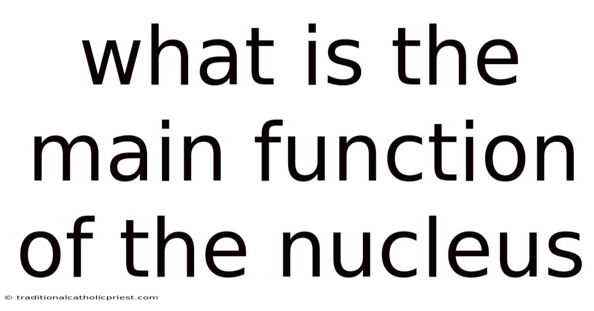 What Is The Main Function Of The Nucleus