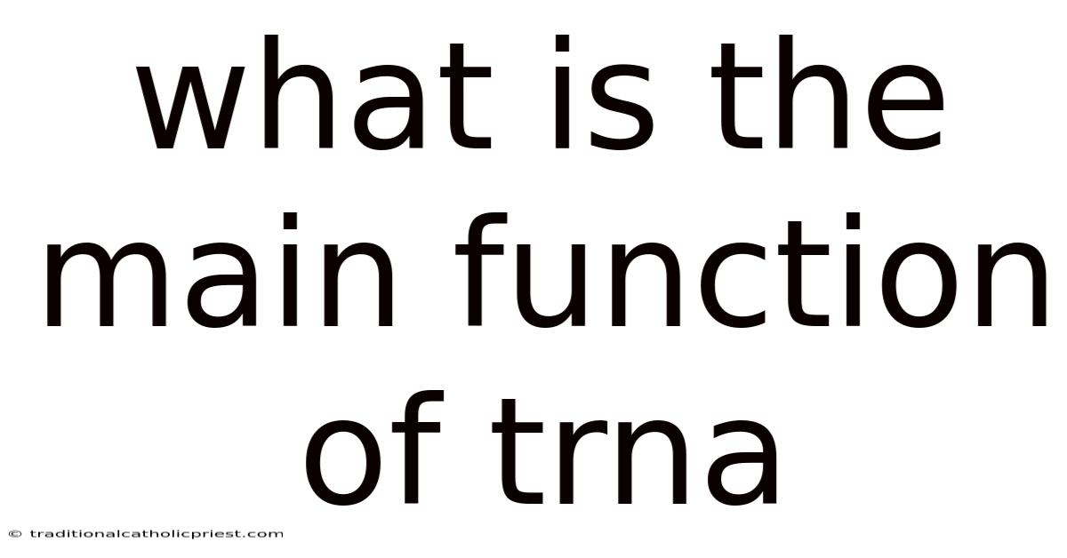 What Is The Main Function Of Trna