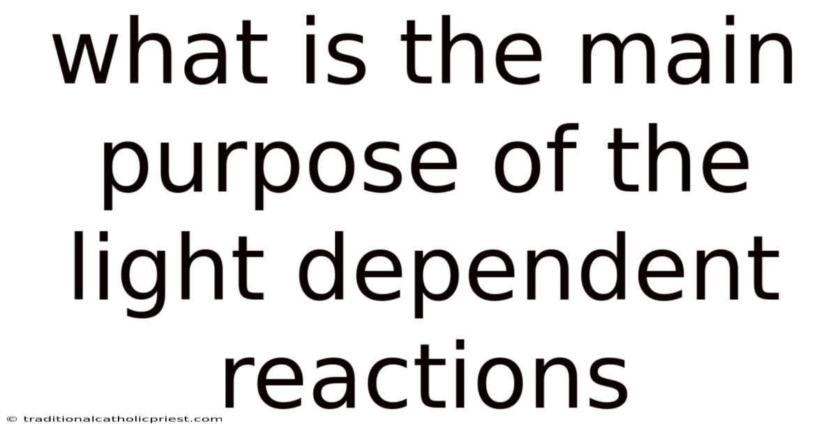 What Is The Main Purpose Of The Light Dependent Reactions