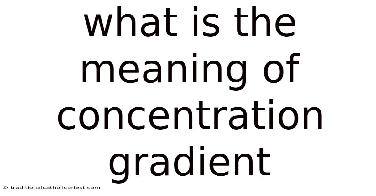 What Is The Meaning Of Concentration Gradient