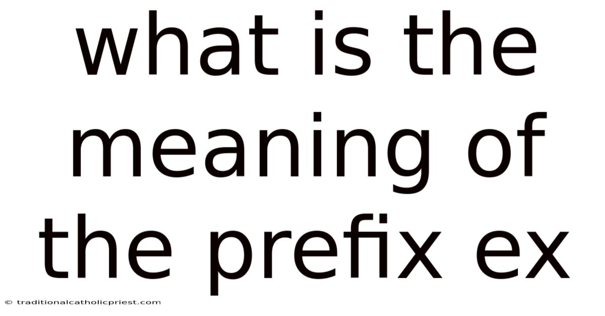 What Is The Meaning Of The Prefix Ex
