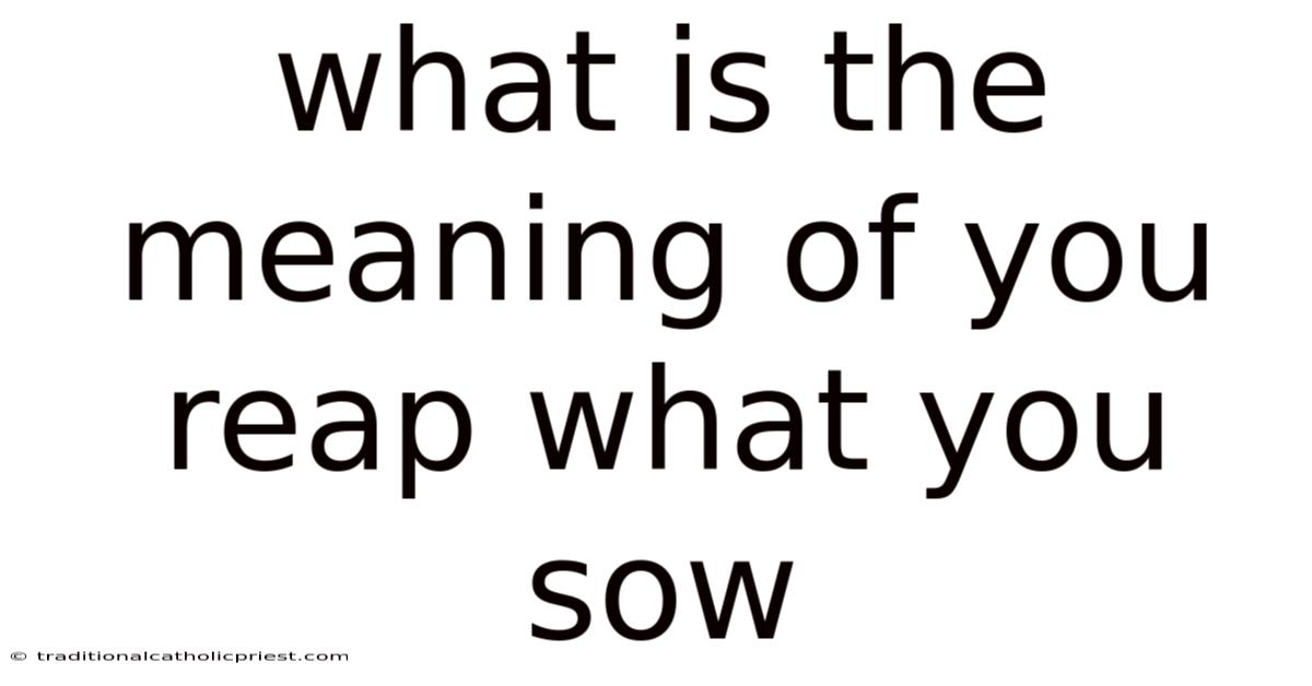 What Is The Meaning Of You Reap What You Sow