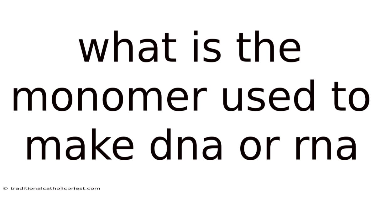 What Is The Monomer Used To Make Dna Or Rna
