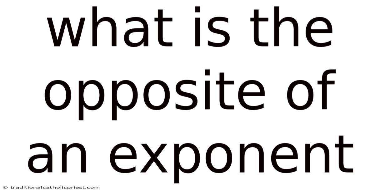 What Is The Opposite Of An Exponent