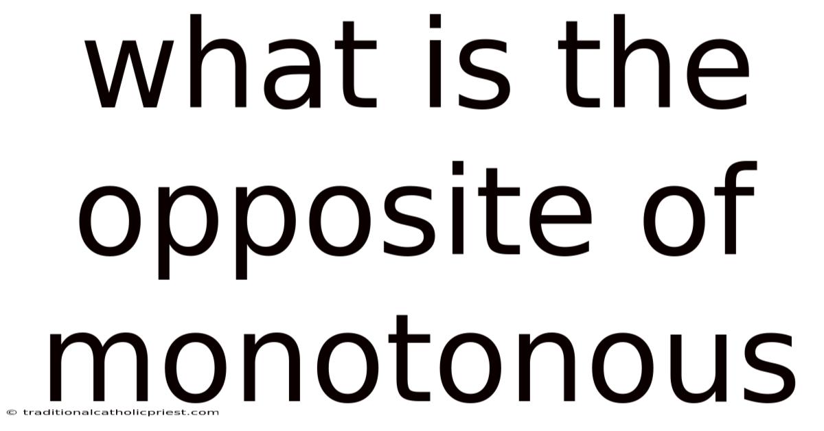 What Is The Opposite Of Monotonous