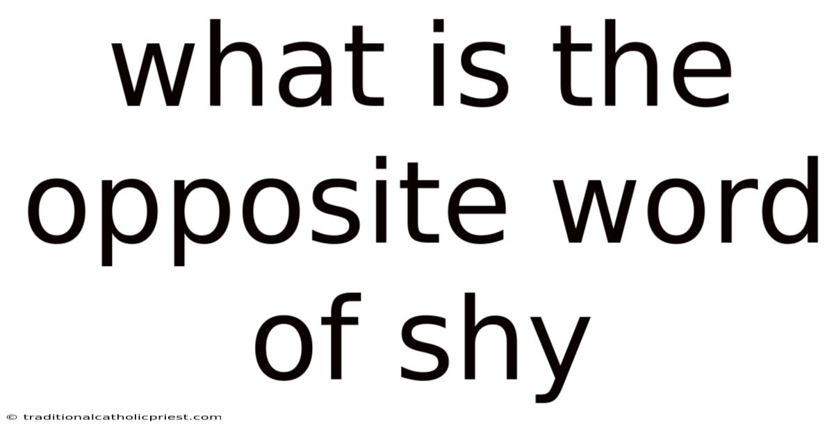 What Is The Opposite Word Of Shy