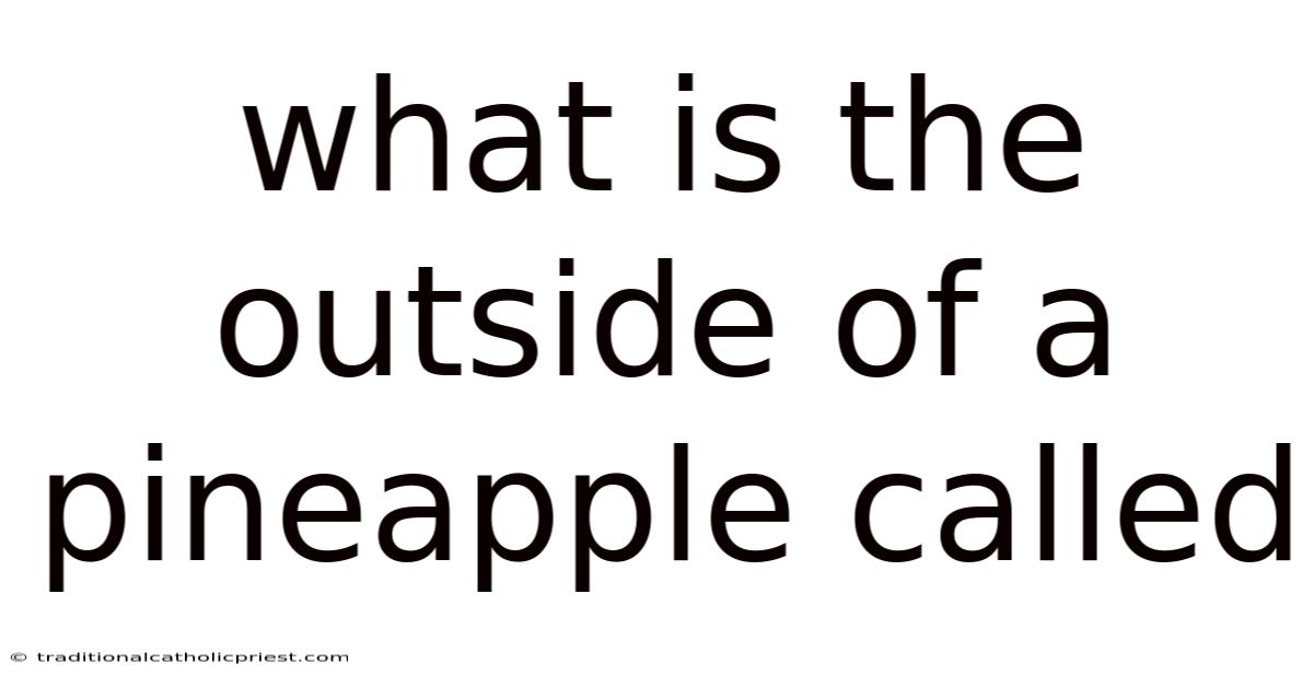 What Is The Outside Of A Pineapple Called